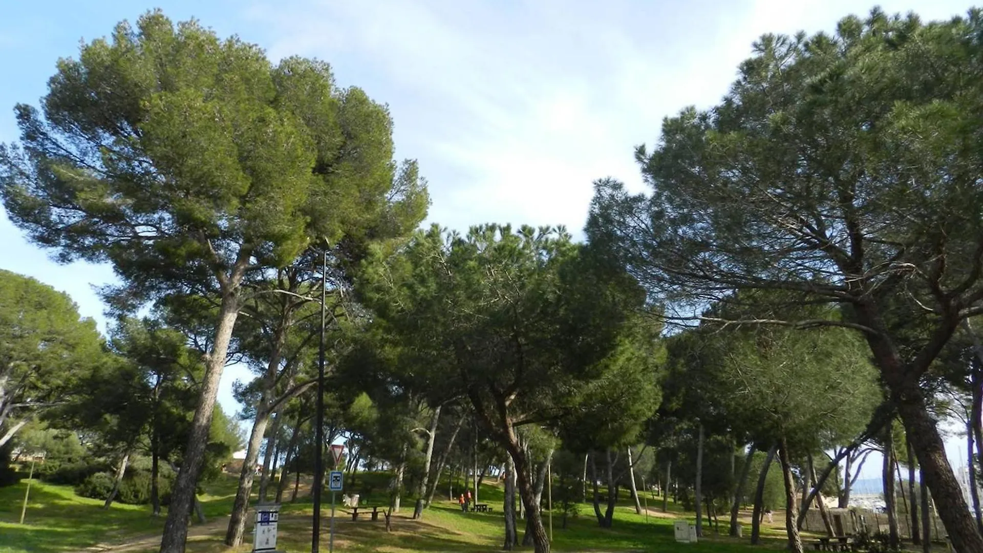 Studio Cozy Avec Loggia A 2 Pas De La Plage, Parking Inclus - Bormes-Les-Mimosas - Fr-1-251-714 Apartment